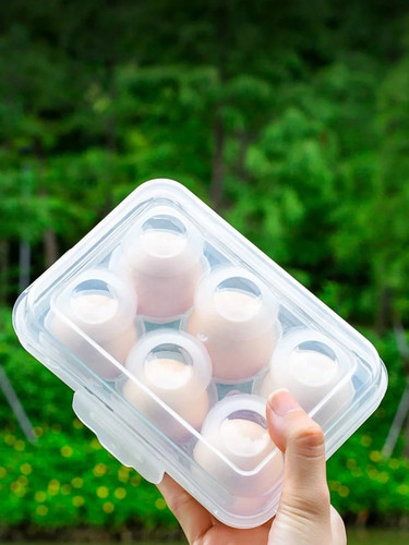 Grid egg holder box - 6,