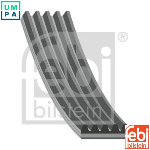 Vribbed belt 28879 for - vribbed,