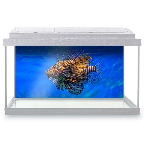 Fish tank background 90x45cm - fish,