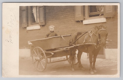 Rppc louis baby - baby, may