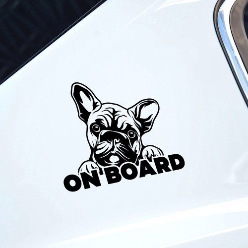 French bulldog dog - on, board