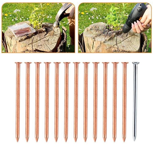 Tree stump killer nails - killer, eco