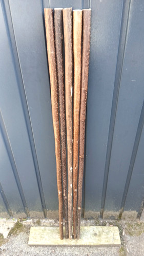 Hazel walking stick shanks - stick,