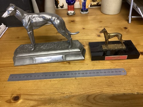Old greyhound racing - greyhound,
