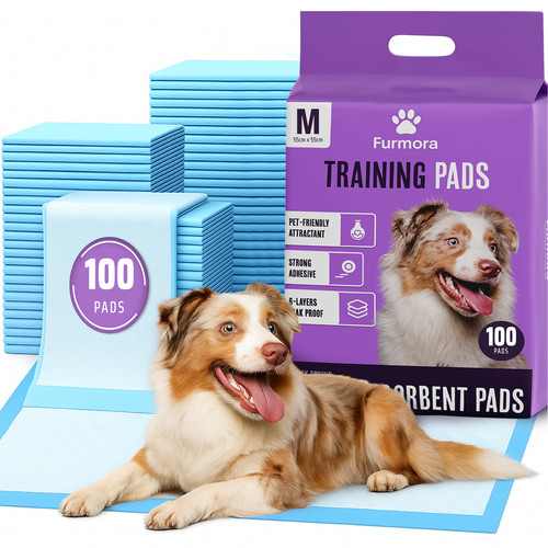 100 large puppy - puppy, pads