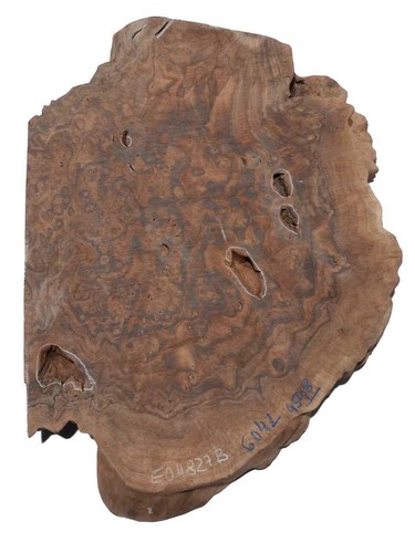 Walnut burl - walnut, slice