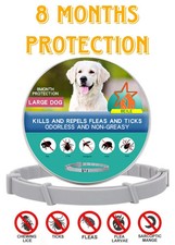 Advanced Adjustable Anti Flea and Tick Collar 8 Months Protection for Dogs Cats