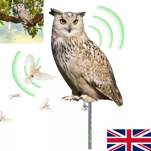 Owl decoy bird deterrent - bird,