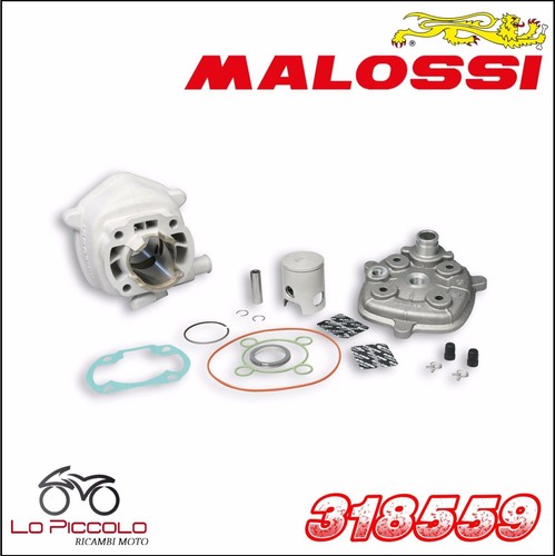 Malossi thermal unit - unit, 50cc