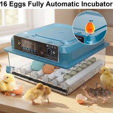 Fully automatic incubator - fully,