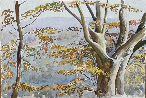 Landscape watercolour beech - landscape,