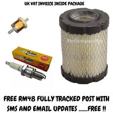 Briggs & Stratton Service Kit