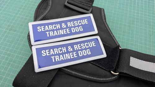 Search rescue trainee dog x - search,