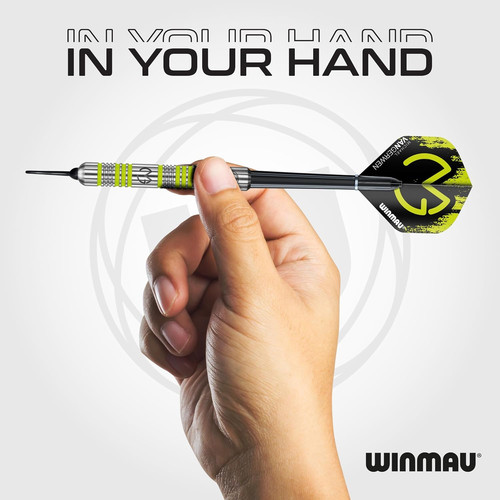 Michael van gerwen piece - michael, 50-piece