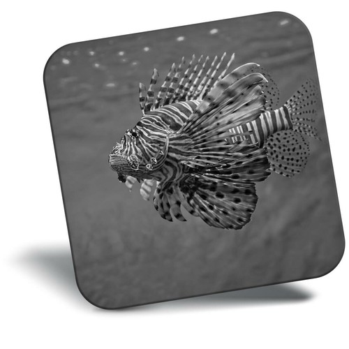 Awesome fridge magnet - fridge,