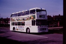 1981 Original Bus Slide