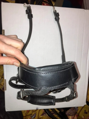 Flash noseband for - noseband,