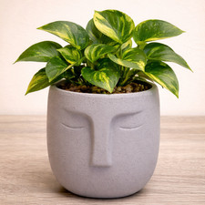 Human face plant pots nordic - human,