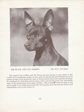 ENGLISH TOY BLACK AND TAN TERRIER OLD VINTAGE 1934 NAMED DOG PRINT PAGE 
