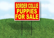 Border Collie PUPPIES FOR SALE