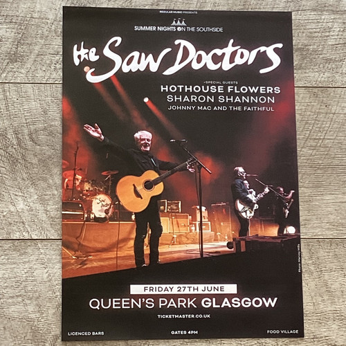 The saw doctors - saw, concert