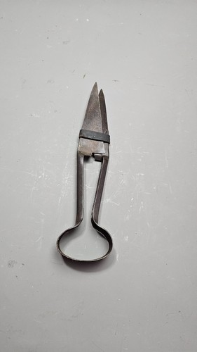 Vintage garden sheep shears - or,