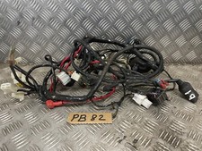 LEXMOTO TITAN 125 wiring loom