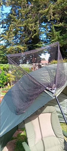 Greys 12ft 2pc carp - greys+3/,