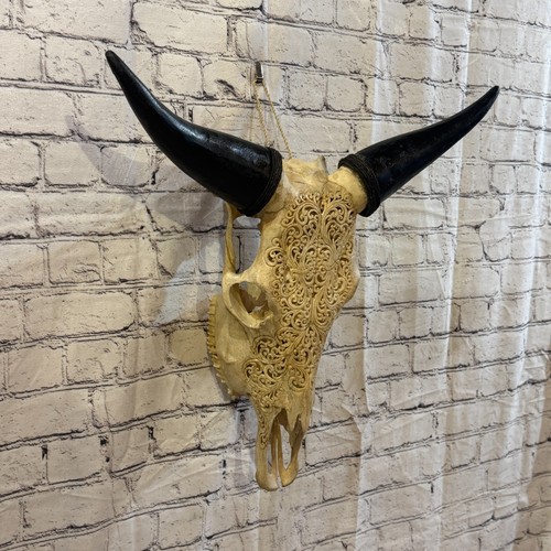 50cm carved buffalo ram wild - 50cm,