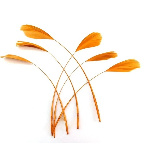 Long fascinators feathers - long,
