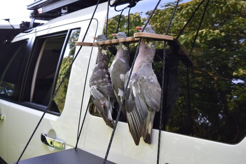 Bird hanger for - bird,
