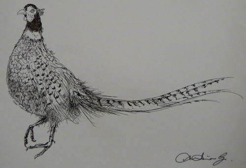 Original pen ink drawing - pen,