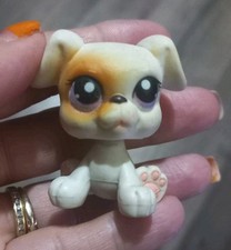 Littlest Pet Shop LPS #84