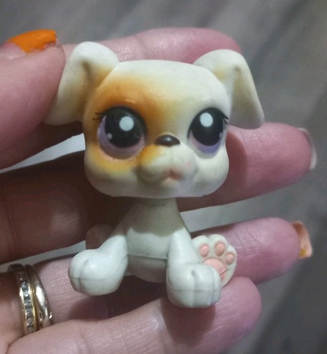 Littlest pet shop lps - littlest,