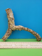 Cork bark branch 23cm snake - bark,