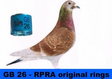 Rpra racing pigeons rings - rpra,