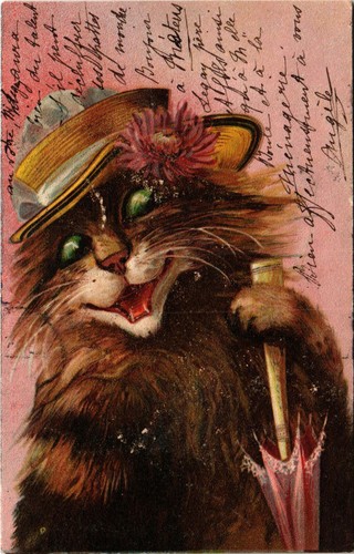 Cats artist signed - cats,,