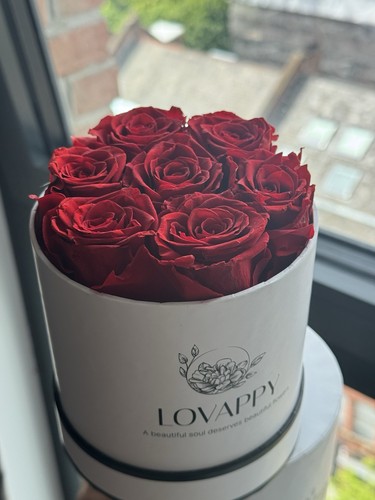 Preserved rose box - rose,