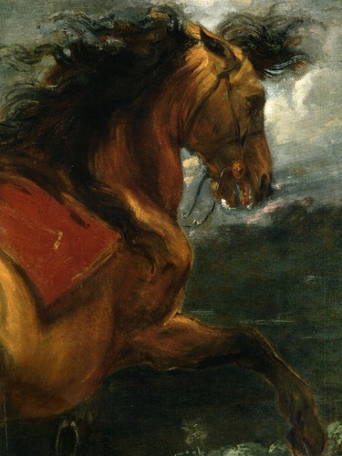 Rearing stallion anthony - by,
