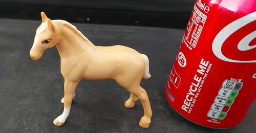 Palomino foal horse - foal,