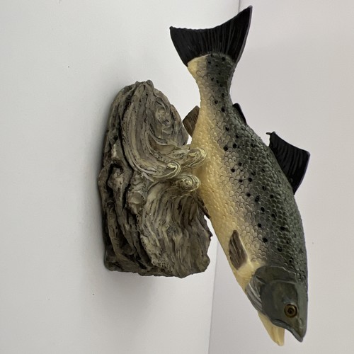 The anglers showcase - anglers,