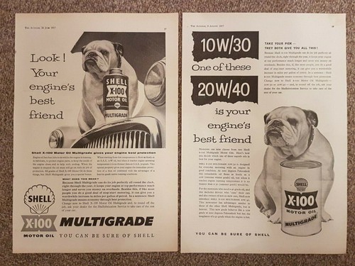 Bulldog shell 100 motor - bulldog,