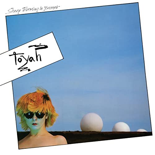 Toyah sheep farming in - toyah,