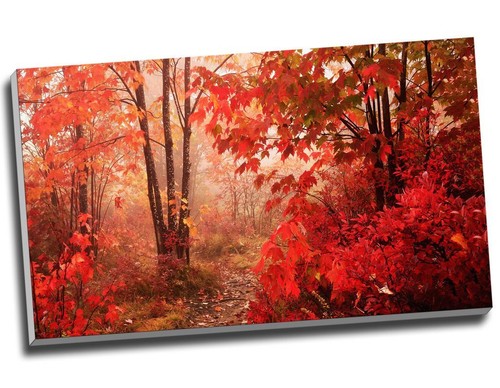 Large autumn forest canvas - autumn,
