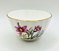 Vintage Royal Worcester Alpine