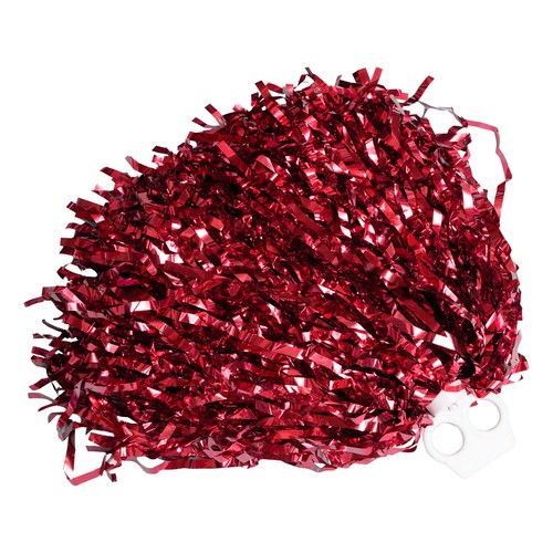 Girls cheerleading team - girls',