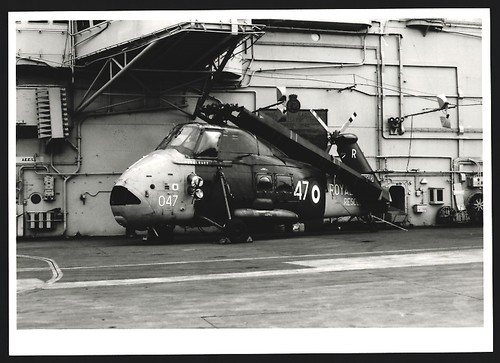 Photograph helicopter westland - photograph,