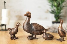 Novelty duck garden ornament - novelty,