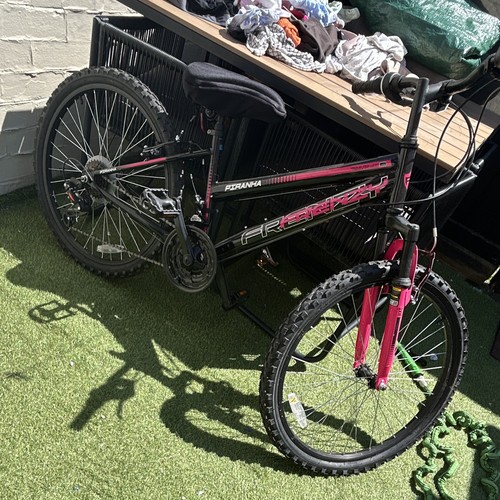 Frenzy piranha mountain bike - frenzy,