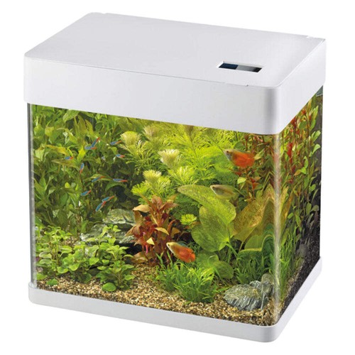 Superfish panorama led - superfish,